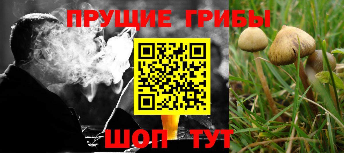 Псилоцибиновые грибы Magic Shrooms Корсаков