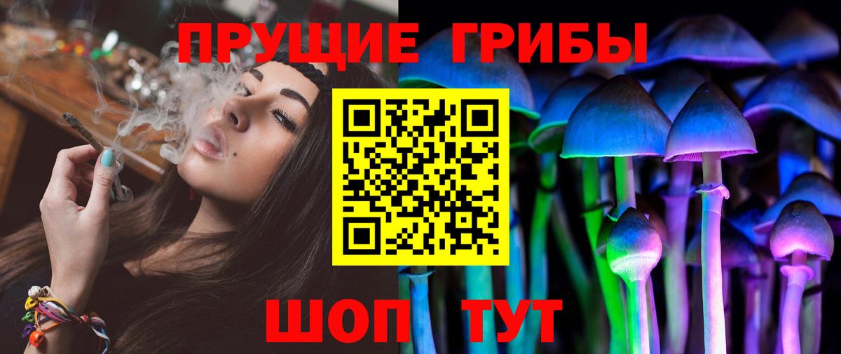 Галлюциногенные грибы Cubensis  Вход с VPN  Корсаков 